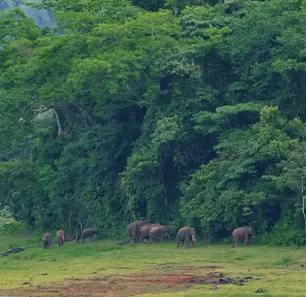 Muthanga Wildlife Sanctuary