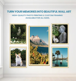 Exhibition Prints